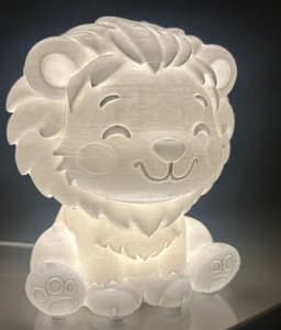 3d-baski-isikli-aslan-geceyi-gulumseten-isik-4